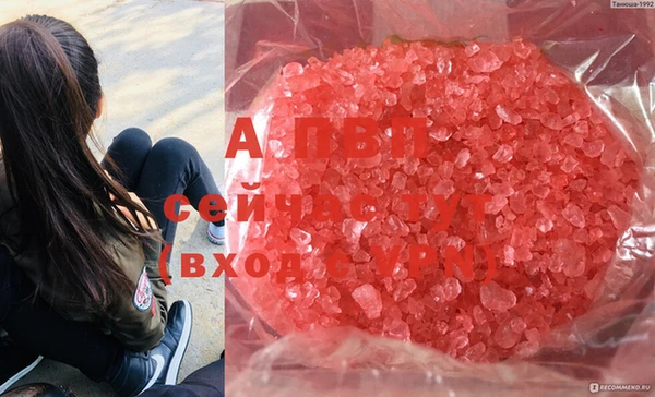 ALPHA-PVP Медвежьегорск