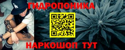 гашик Заводоуковск