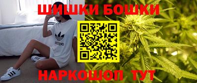 крисы Аргун