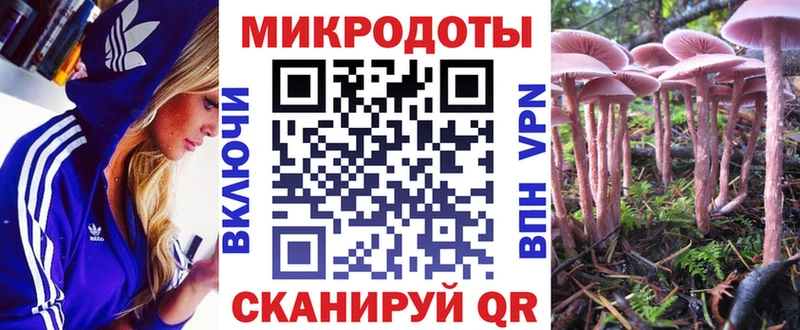 Псилоцибиновые грибы прущие грибы где продают Избербаш