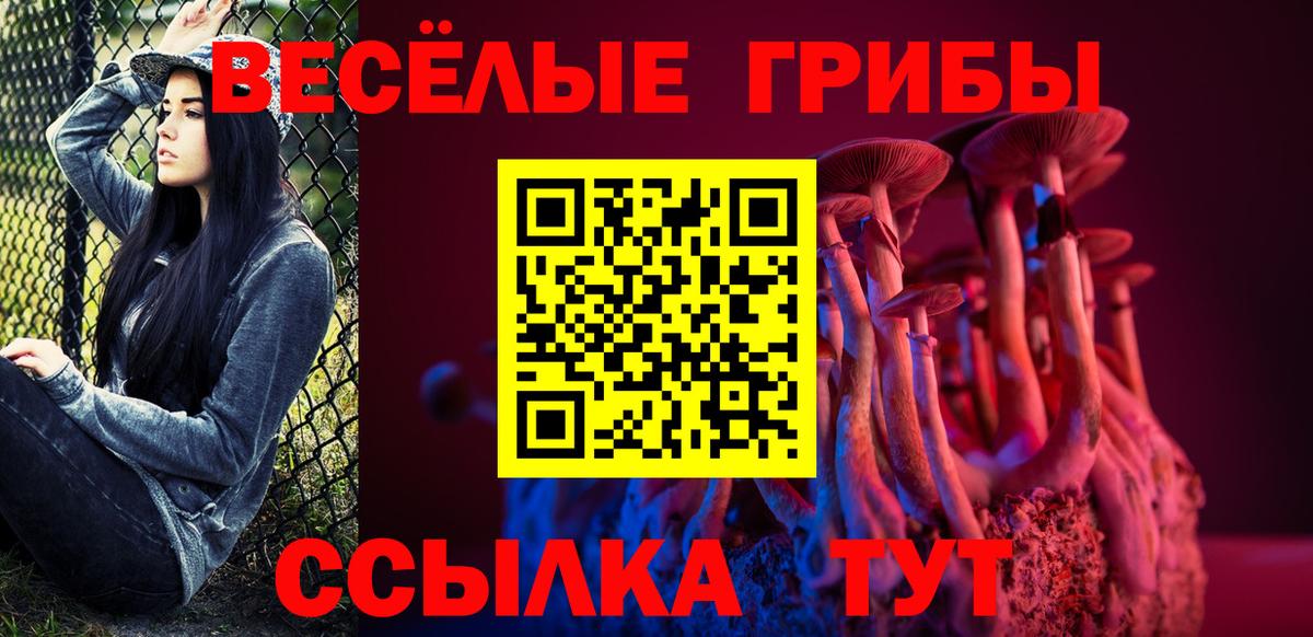 Псилоцибиновые грибы прущие грибы Избербаш