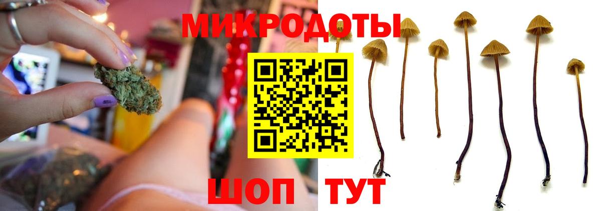 Псилоцибиновые грибы GOLDEN TEACHER  Вход с VPN  Избербаш 